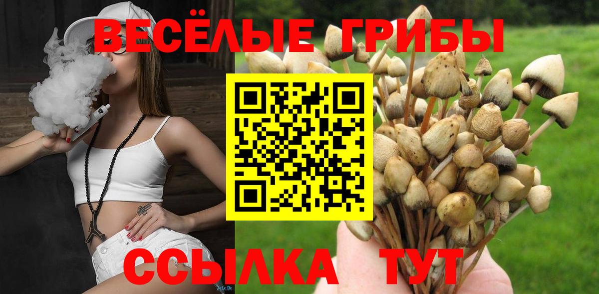 Псилоцибиновые грибы Magic Shrooms  Вход с VPN  Каменка 