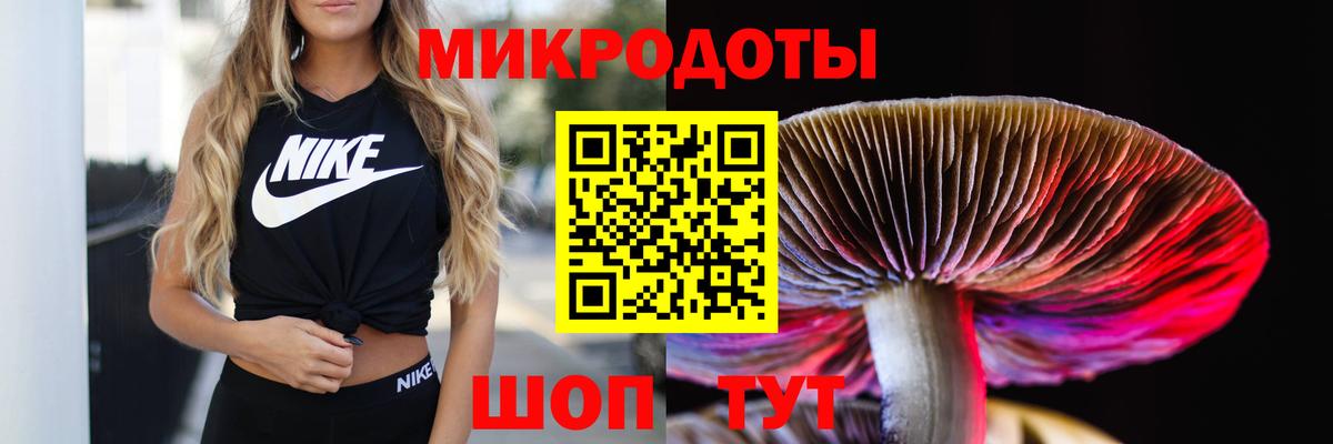 Псилоцибиновые грибы прущие грибы Каменка